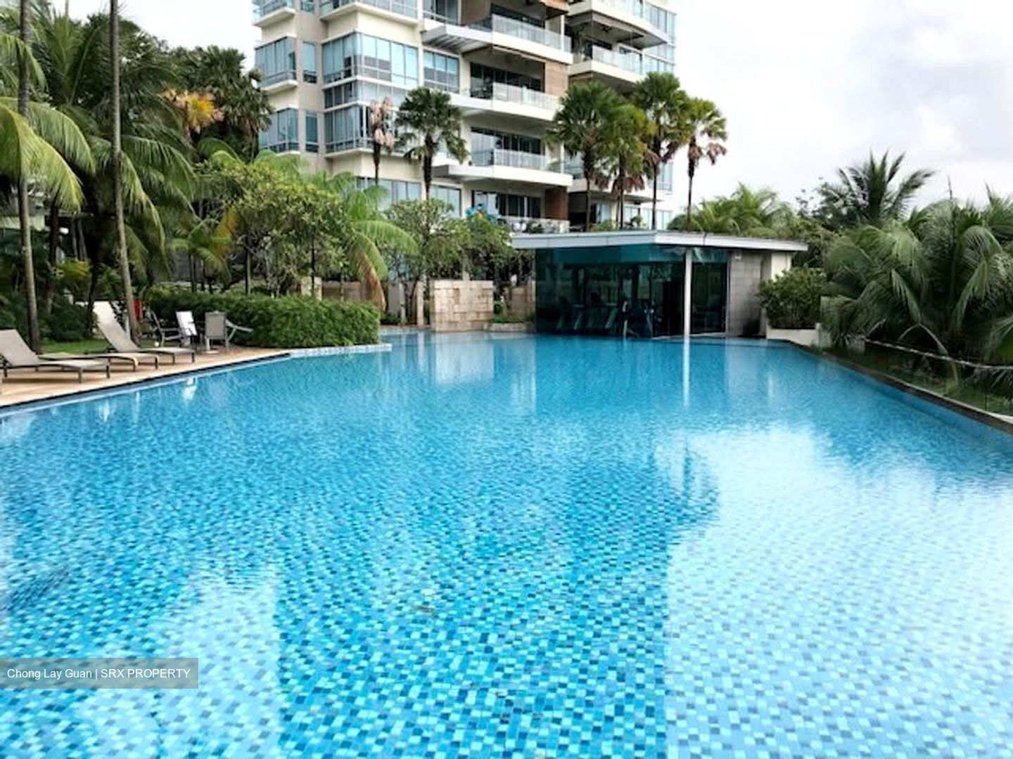 Balmoral Hills (D10), Condominium #621681651